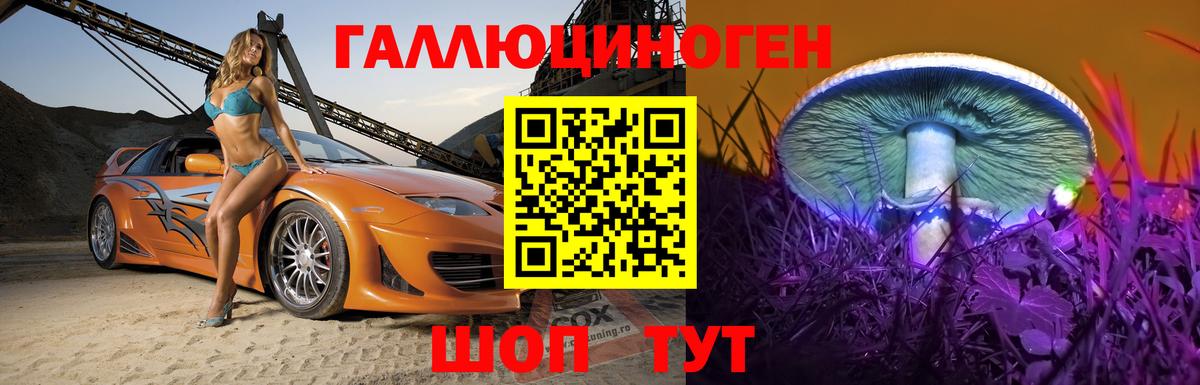 Углич  Псилоцибиновые грибы Psilocybine cubensis  Вход с VPN 